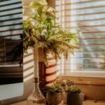 resized_33_api